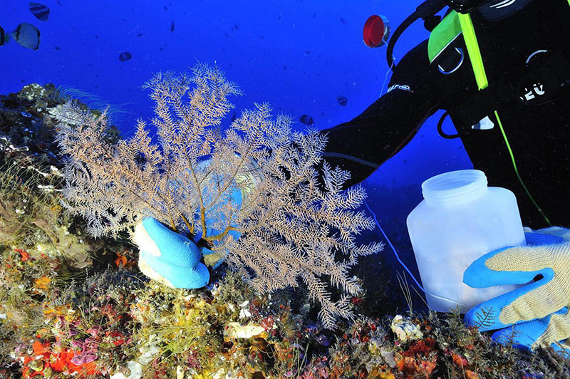Underwater technical assistance Reunion Island