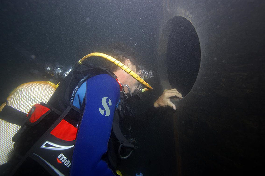 Experience - Underwater expertise Reunion Island