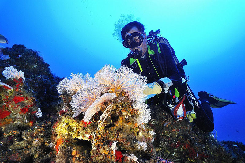 Underwater works Reunion Island