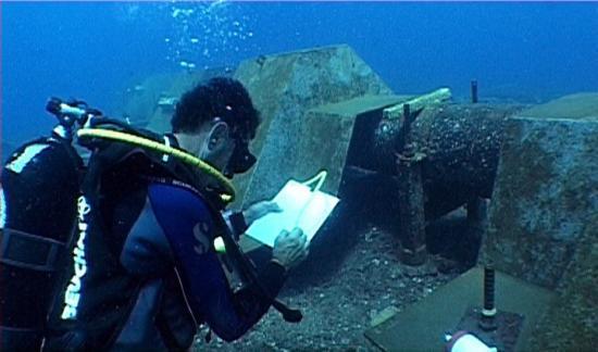 Underwater Jobs, Reunion Island