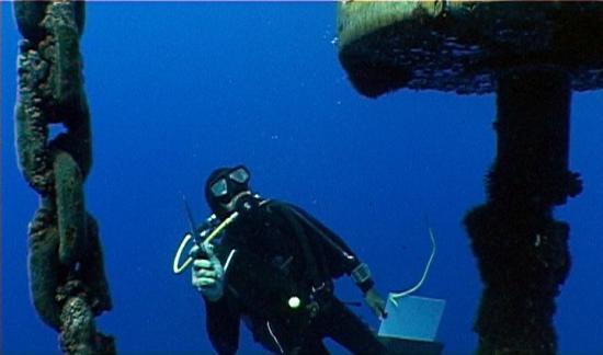 Underwater expertise, Reunion Island